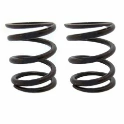 Best deal 😍 ARC Racing (2) Pack Of 22Lb Valve Springs 😀