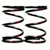 Brand new ⌛ ARC Racing Hi-Tension Box Stock Spring Set (Pair) 🥰