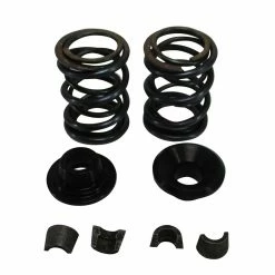 Top 10 🤩 DynoCams 32LB Dual Valve Spring Set With Hardware, Clone 👏